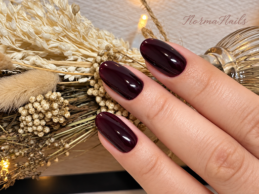 Ongles ovales de longueur moyenne, bordeaux intense uni à la finition laquée, photographiés devant un bouquet de fleurs séchées.